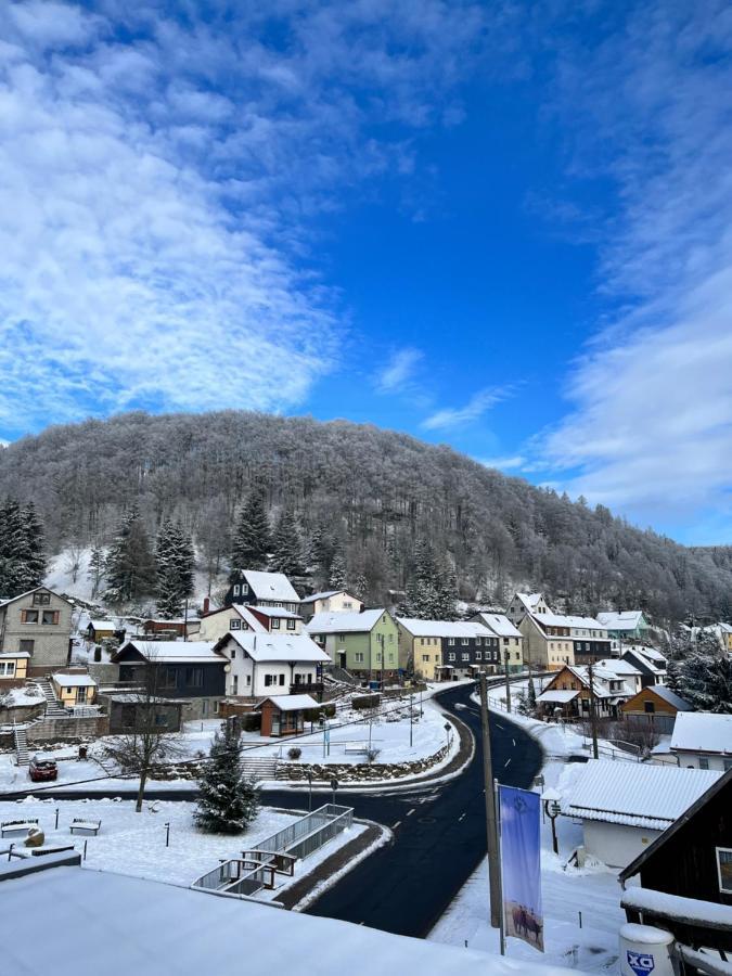 Gasthof & Pension "Schwarzer Adler" Массерберг Экстерьер фото